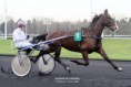 /album/vincennes-le-28-01-2016/bandit-du-coudou-jan-2016-jpg1/